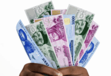 From data to naira: Leveraging customer insights in the age of AI