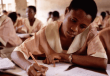 The dying public school – Businessday NG