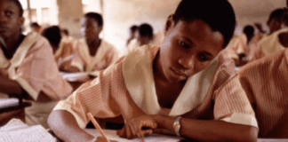 The dying public school – Businessday NG