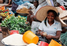 Combating Nigeria’s food crisis: Lessons from Africa and Asia