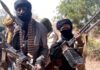 Bandits abduct 10 in Zamfara community