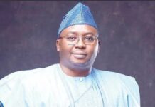 ELECTRICITY: Adelabu laments, says bulk customers dumping national grid to generate own power