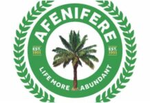 Insecurity: Afenifere demands Executive Order on state police