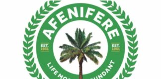 Insecurity: Afenifere demands Executive Order on state police