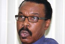 Rewane justifies impending increase in tariffs for MTN, Glo, others