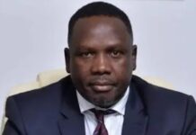 Social media users descend on Daniel Bwala for calling Tinubu Nigeria’s ‘father’