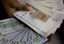 Naira stays steady at N1,339/$1 at official window