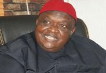 Ohanaeze dissociates self from IPOB’s act to mark Biafra Heroes Day