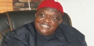 Ohanaeze dissociates self from IPOB’s act to mark Biafra Heroes Day