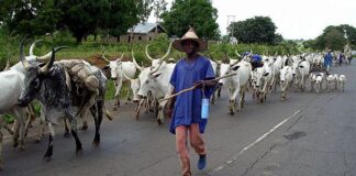 Heightened tensions as Miyetti Allah accuses South-East security outfits of killings