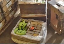 German police finds 190kg of cocaine hidden in banana crates