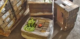German police finds 190kg of cocaine hidden in banana crates