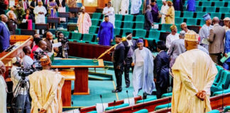 Reps demand military taskforce to address security challenge in Niger