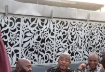 Go-Wellness Worldwide In Synergy With Popular Nollywood Actors To Promote Networking Platform For Ruzu Herbal Products