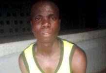 Police in Yobe arrests man for stabbing woman, stealing her phone