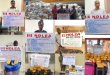 NDLEA smashes int’l drug syndicate, seizes Loud consignments, arrests 5 members