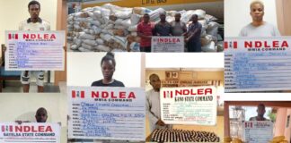 NDLEA smashes int’l drug syndicate, seizes Loud consignments, arrests 5 members