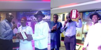 AGN honours CEO Ruzu Herbals, celebrates Nollywood veteran Emeka Ike, Sunny Macdon, Prince Emeka Ani, Victor Osuagwu, others