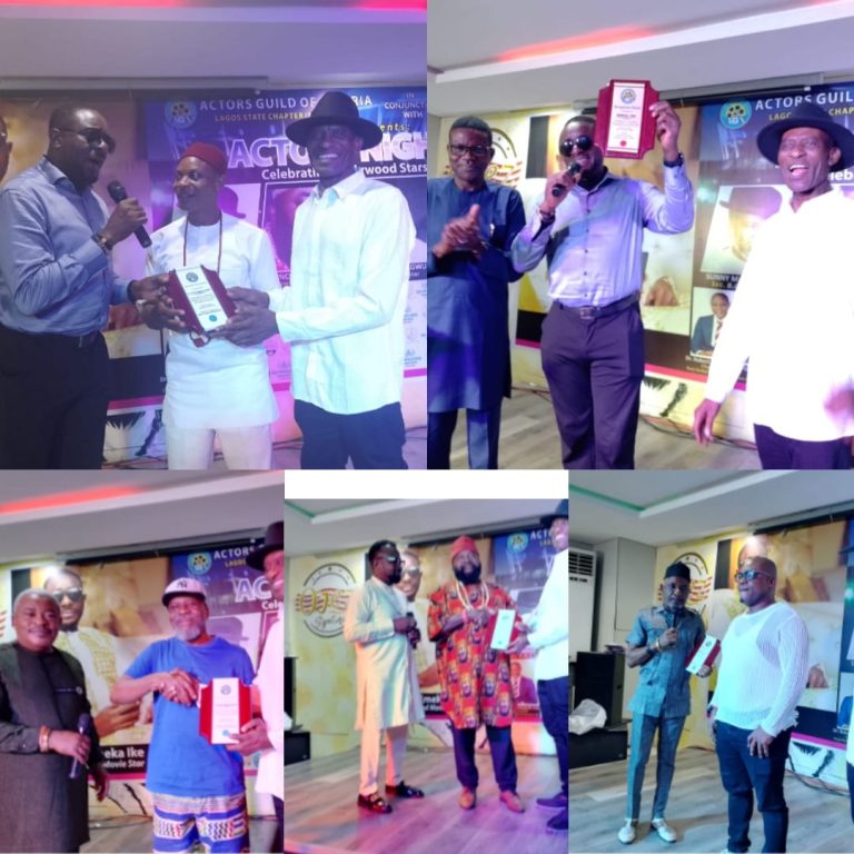 AGN honours CEO Ruzu Herbals, celebrates Nollywood veteran Emeka Ike, Sunny Macdon, Prince Emeka Ani, Victor Osuagwu, others