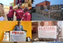 NDLEA intercepts 3 trailer loads of opioids, seizes 3.5million pills, 344,000 codeine bottles
