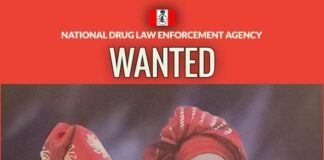 NDLEA declares couple wanted, arrests 4 cartel members over cocaine seizures