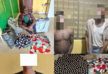 Delta State Police Command arrests two suspected armed robbers over house to house armed robbery operation in Asaba