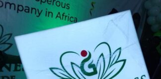 Go-Wellness Worldwide Leads Mega Seminar in Lagos, Anambra, Imo, Ibadan, Ogun, Other states….