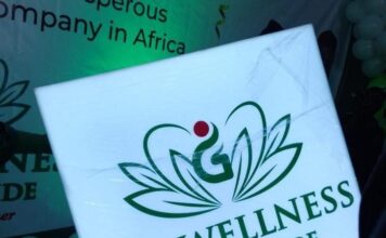 Go-Wellness Worldwide Leads Mega Seminar in Lagos, Anambra, Imo, Ibadan, Ogun, Other states….