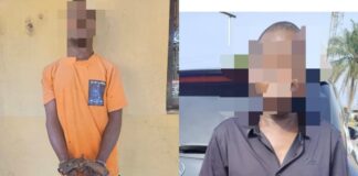 Delta Police Arrests Suspected Armed Robbers, Cultists; Recover Guns, Stolen Truck
