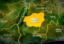 FACT CHECK: Does Imo State have the second highest IGR as claimed by X user?