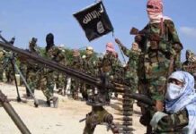 ISWAP fighters kill DPO in Bormo