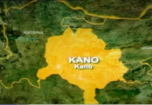 Police arrests 19 suspected armed robbers, kidnappers, others in Kano