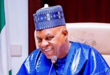 Nigeria will survive with good governance, not by change in the system – Shettima