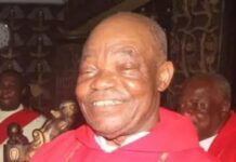 Abducted Anambra Catholic priest regains freedom
