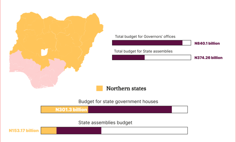 RipplesMetrics… 2024 STATES’ BUDGET: Assemblies, Governors’ offices take lion share (Part II)