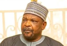 Senate recalls Senator Ningi after 77 days