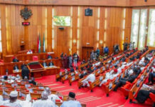 Senate launches probe into abandoned projects in Nigeria