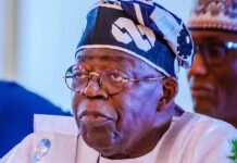 Tinubu orders security agents to fish out killers of 20 in Katsina communities