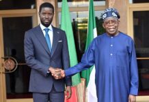 Tinubu meets Senegalese president, Bassirou Faye, in Aso Rock