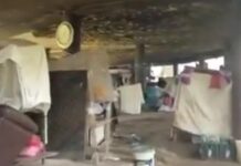 Lagos govt uncovers another illegal settlement under Osborne Bridge (Video)