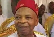 Billionaire Arthur Eze drums up support for Tinubu