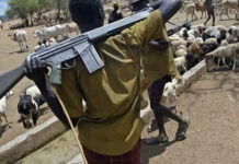 Suspected herdsmen kill 30 in Benue community