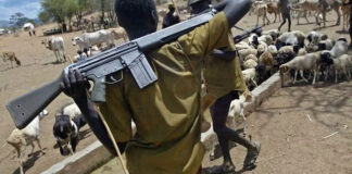 Suspected herdsmen kill 30 in Benue community