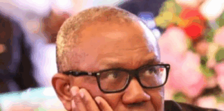 ‘There’s nothing unique about Peter Obi’, Omokri lists ten ex-govs better than LP candidate