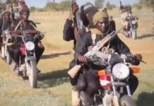 JUST IN: Bandits attack Kogi varsity, abduct students