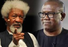SocialMediaTrends: Nigerians descend on Soyinka for ‘unfairly criticising’ Peter Obi