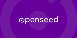 OpenseedVC launches $10 million fund for African startups