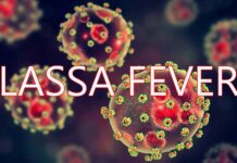 Lassa fever: Nigeria confirms 14 cases, one death in 3 states