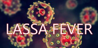 Lassa fever: Nigeria confirms 14 cases, one death in 3 states