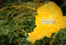 Abducted Borno judge reportedly regains freedom after 76 days